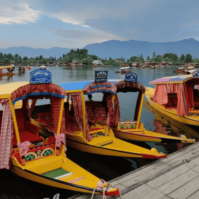 Jammu & Kashmir: A Mesmerizing Journey Through Kashmir’s Paradise 5D/4N