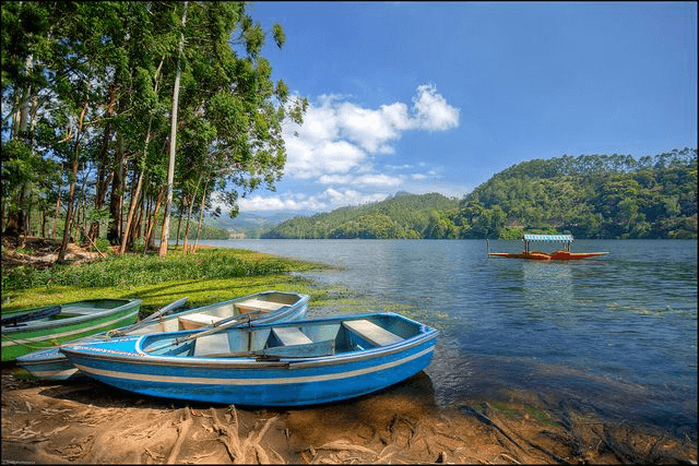 Misty Munnar: 4 Days in Kerala’s Tea Garden Paradise - 3N/4D