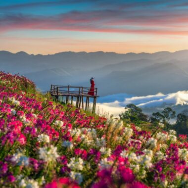 Jammu & Kashmir: A Mesmerizing Journey Through Kashmir’s Paradise 5D/4N