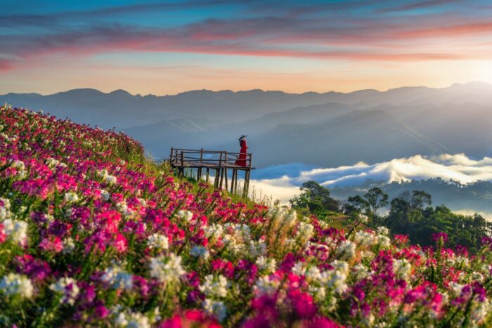 Jammu & Kashmir: A Mesmerizing Journey Through Kashmir’s Paradise 5D/4N