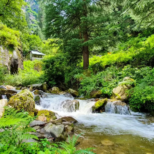 Manali Delight: 5 Days of Nature, Adventure & Serenity