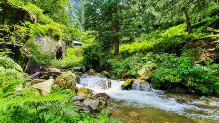 Manali Delight: 5 Days of Nature, Adventure & Serenity