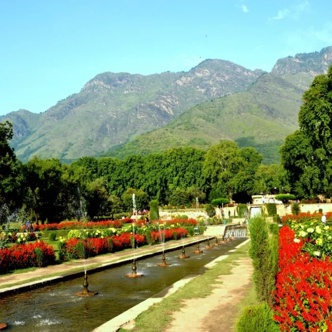 Jammu & Kashmir: A Mesmerizing Journey Through Kashmir’s Paradise 5D/4N