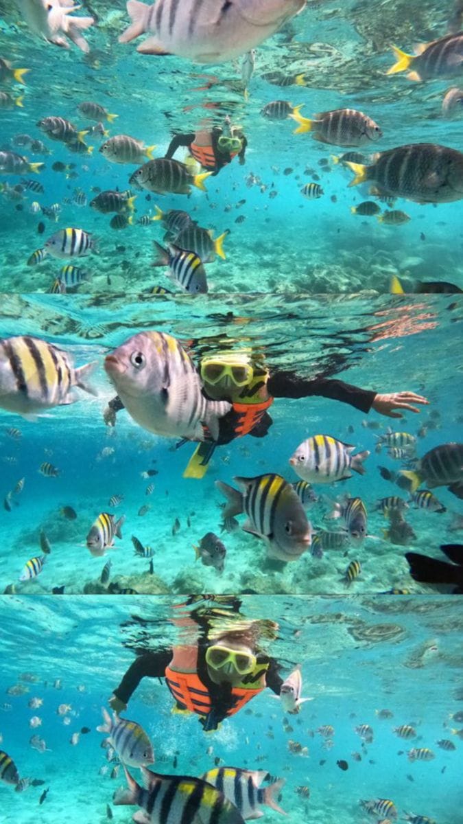 Lakshadweep Delight: 4 Days of Turquoise Waters & Tranquility 4D/3N
