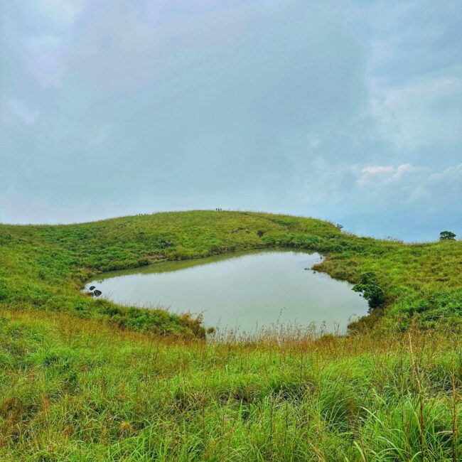 Wayanad Wonders: 4 Days of Hills, Forests & Hidden Trails - 4D/3N