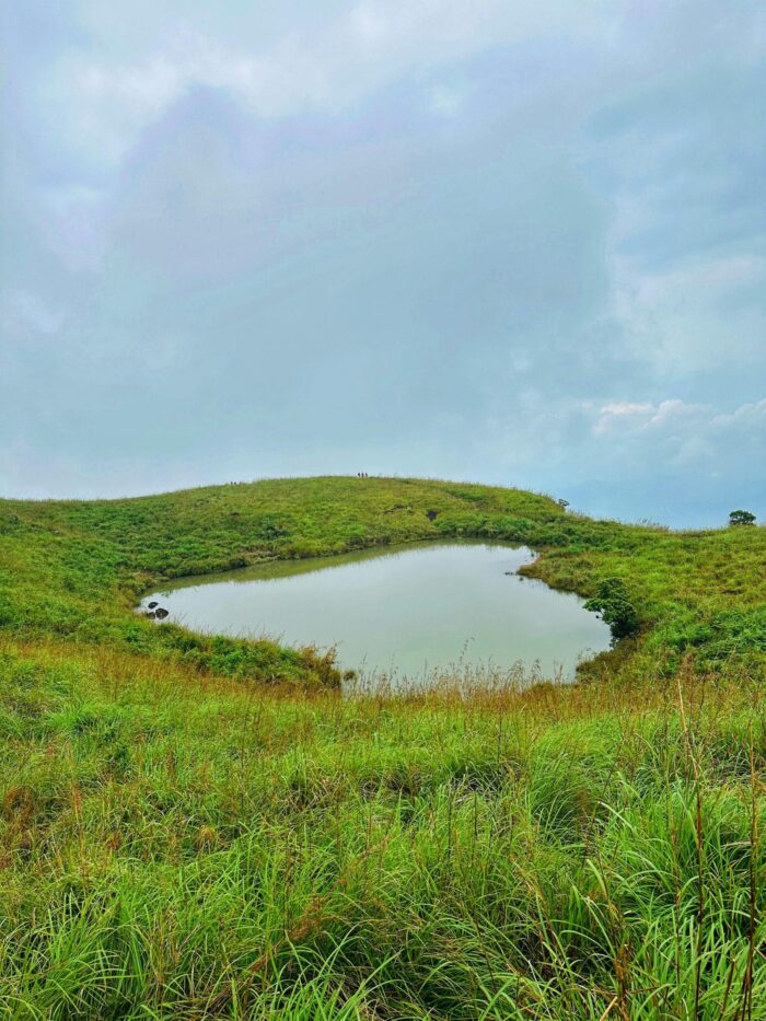 Wayanad Wonders: 4 Days of Hills, Forests & Hidden Trails - 4D/3N
