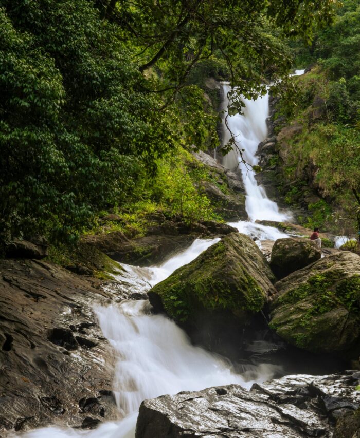 Wayanad Wonders: 4 Days of Hills, Forests & Hidden Trails - 4D/3N