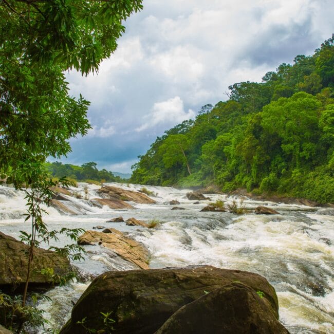 Waterfall to Backwaters: 3 Days in Athirappilly & Alappuzha 2N/3D