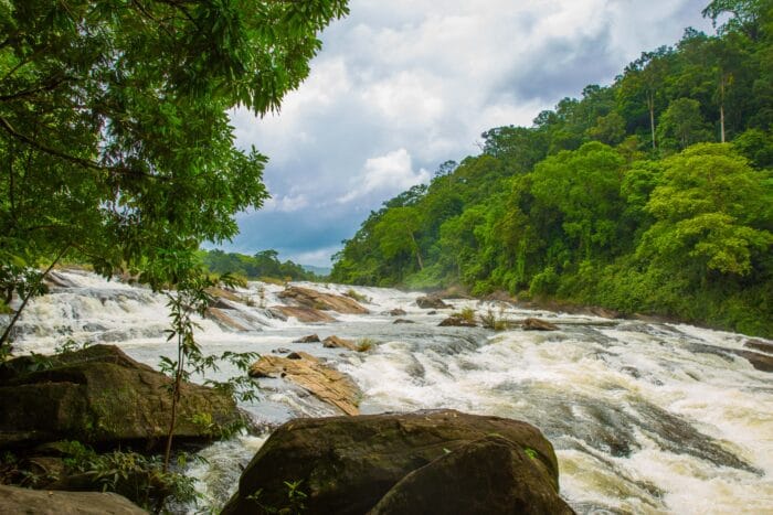 Waterfall to Backwaters: 3 Days in Athirappilly & Alappuzha 2N/3D