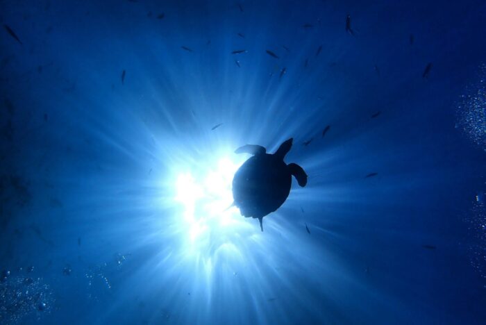 ANDAMAN 4N/5D – A Tropical Island Escape